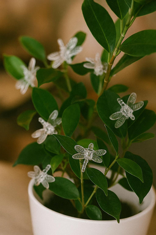 Dragonfly Plant Clips – Orchid Support Clips and Wall Vine Holders | Decorative and Functional Garden Clips for Houseplants