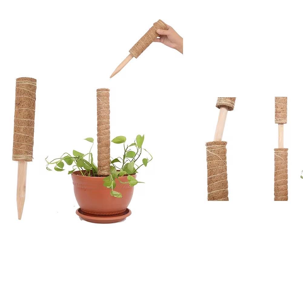 Coco Coir Moss Pole for Climbing Plants | Extendable Natural Support | Perfect for Monstera, Pothos, Philodendron