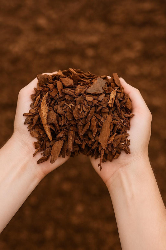 Premium Pine Bark Mulch – Perfect for Orchids, Houseplants & Terrariums | Organic Pine Bark Fines for Soil Mix