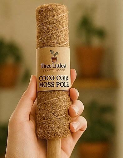 Coco Coir Moss Pole for Climbing Plants | Extendable Natural Support | Perfect for Monstera, Pothos, Philodendron