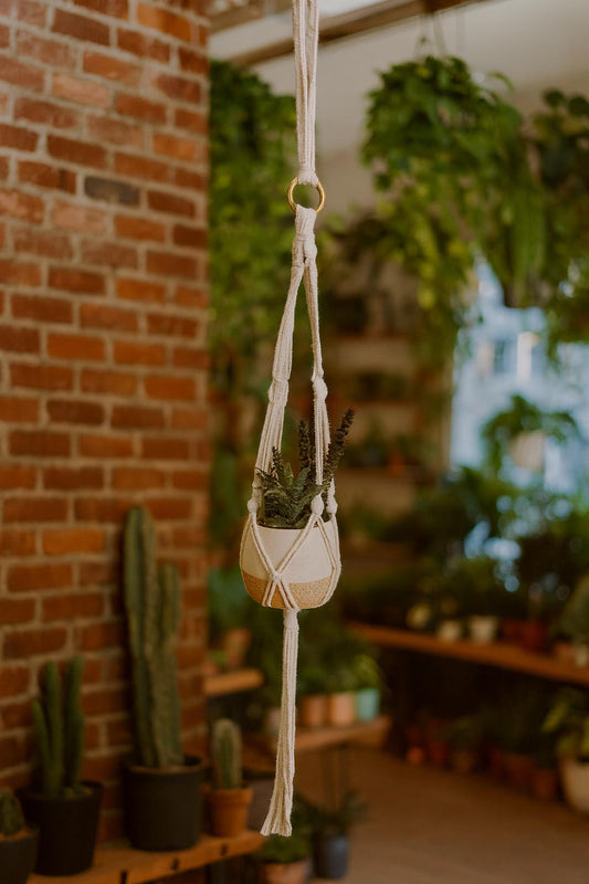 30” Macramé Plant Hanger – Boho Hanging Planter | Natural Cotton Rope Plant Holder for Indoor and Outdoor Décor