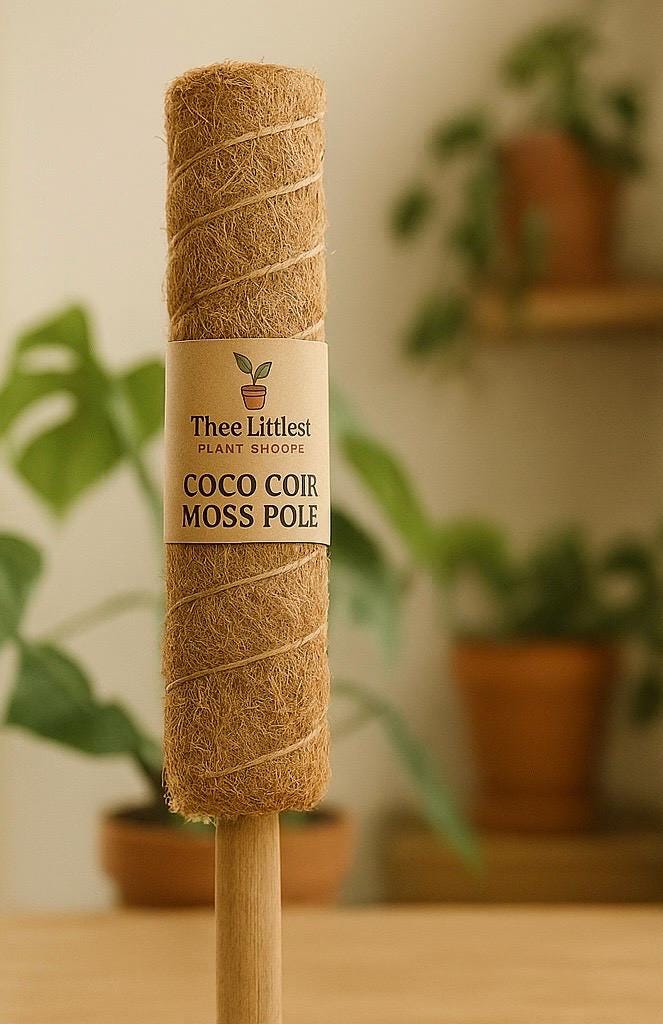 Coco Coir Moss Pole for Climbing Plants | Extendable Natural Support | Perfect for Monstera, Pothos, Philodendron